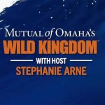 Mutual of Omaha’s Wild Kingdom Kelp Forest Series